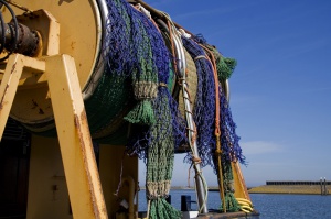 Dansk IT-iværksætter vil gøre prissammenligning mulig for fiskeindustrien