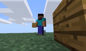 Minecraft kommer til Nintendo Wii U den 17. december