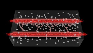 Forskere 3D-printer blodårer af bio blæk og celler 