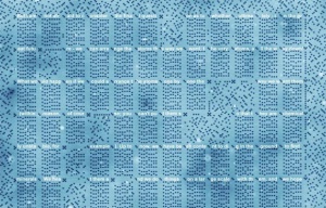 Hollandske forskere skaber mikroskopisk lagringssystem hvor 1 bit lagres af 1 atom
