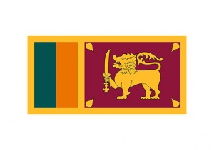 Adgangen til sociale medier lukkes ned i Sri Lanka efter uro