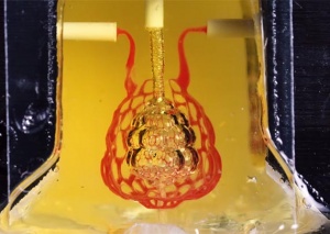 Forskere har lavet et 3D-printet stykke af en lunge